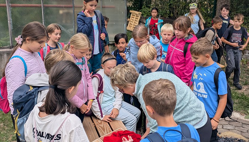 Fünftklässler absolvieren im Schlosspark verschiedene erlebnispädagogische Spiele.